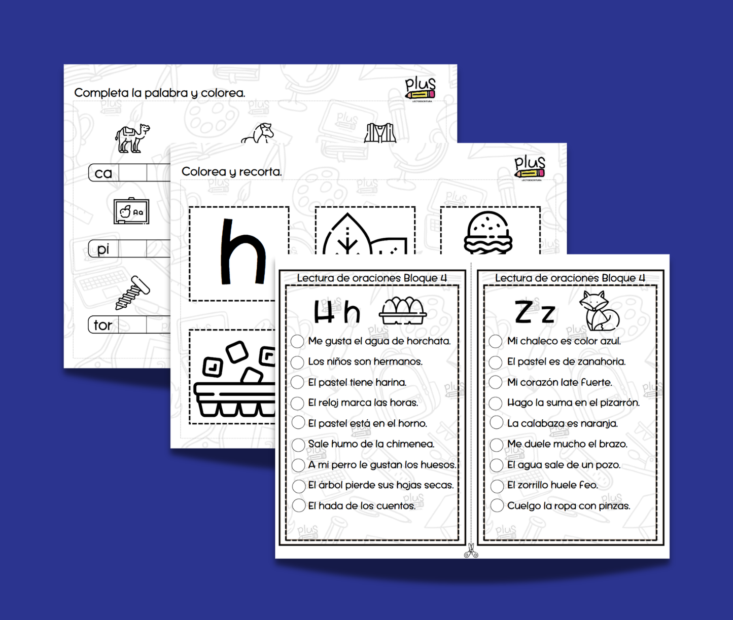 Bloque 4: CH, LL, H, Z, Q.
