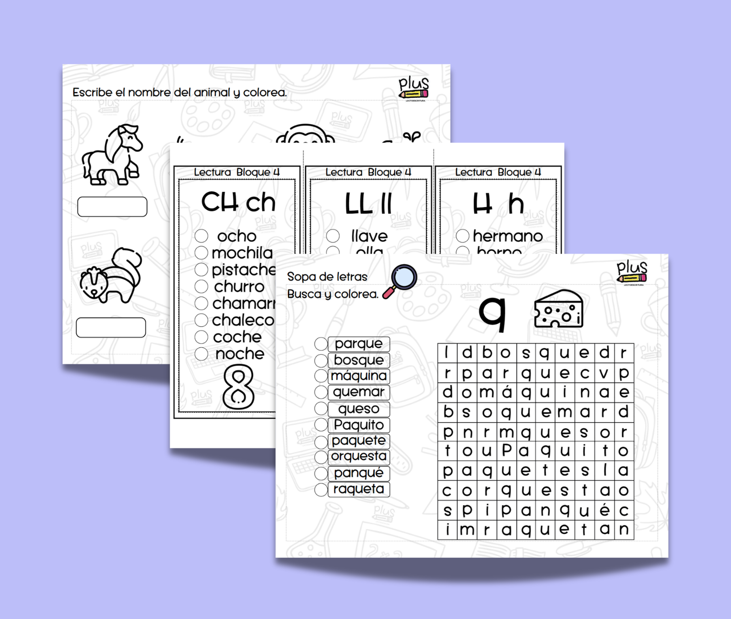 Bloque 4: CH, LL, H, Z, Q.